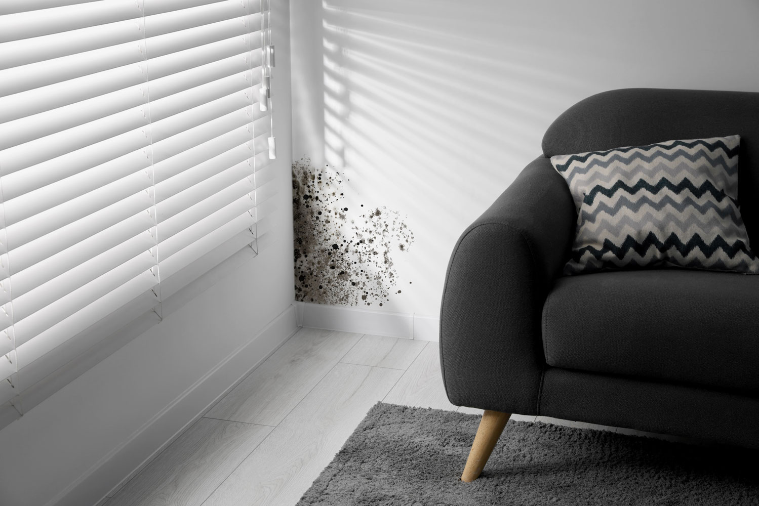 Sto_Anti_schimmel_Farben